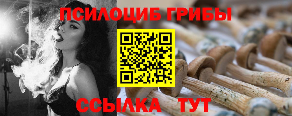 Галлюциногенные грибы Cubensis Верхняя Пышма