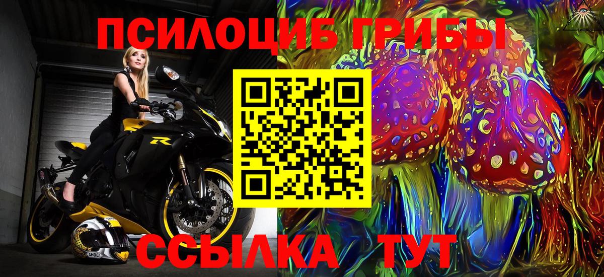 Псилоцибиновые грибы ЛСД  Вход с VPN  Верхняя Пышма 